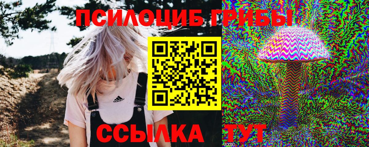 Камышлов  Галлюциногенные грибы MAGIC MUSHROOMS  Псилоцибиновые грибы MAGIC MUSHROOMS  где купить наркоту  Вход с VPN 