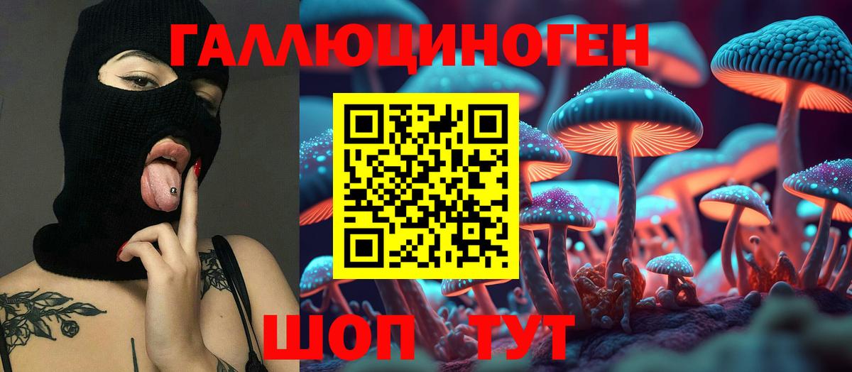 Псилоцибиновые грибы ЛСД Камышлов